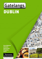 Dublin av Conn Corrigan, Hélène Le Tac, Pauline Mermet, Sarah Nitting-Fulinny og Nicolas Peyroles (Heftet)