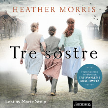 Tre søstre av Heather Morris (Nedlastbar lydbok)