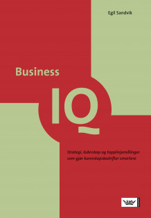 Business IQ av Egil Sandvik (Innbundet)