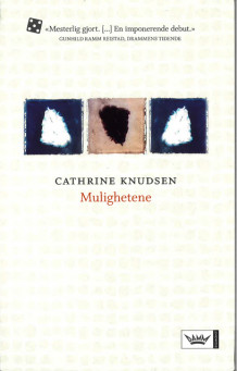 Mulighetene av Cathrine Knudsen (Heftet)