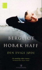 Den evige jøde av Bergljot Hobæk Haff (Heftet)