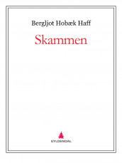Skammen av Bergljot Hobæk Haff (Ebok)