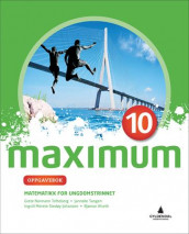 Maximum 10 av Bjørnar Alseth, Ingvill Merete Stedøy-Johansen, Janneke Tangen og Grete Normann Tofteberg (Heftet)
