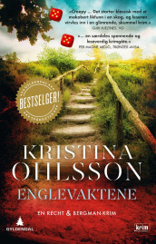 Englevaktene av Kristina Ohlsson (Ebok)
