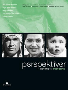 Perspektiver av Per Anders Madsen, Inger Hilde Killerud, Hege Roaldset, Ane Bjølgerud Hansen og Eivind Sæther (Heftet)