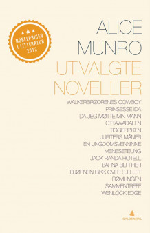 Utvalgte noveller av Trude Rønnestad og Alice Munro (Innbundet)