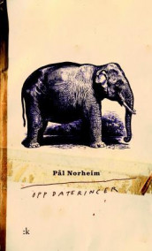 Oppdateringer av Pål Norheim (Ebok)