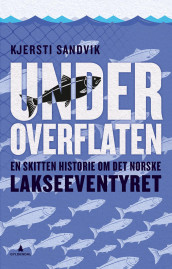 Under overflaten av Kjersti Sandvik (Innbundet)