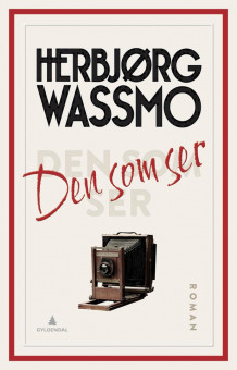 Den som ser av Herbjørg Wassmo (Innbundet)