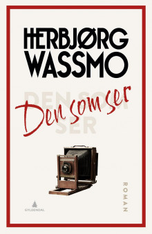 Den som ser av Herbjørg Wassmo (Ebok)