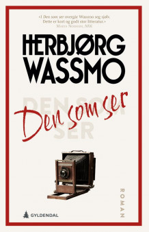 Den som ser av Herbjørg Wassmo (Heftet)