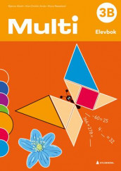 Multi 3B, 3. utg. av Bjørnar Alseth, Ann-Christin Arnås og Mona Røsseland (Heftet)