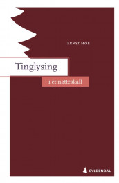Tinglysing i et nøtteskall av Ernst Moe (Heftet)