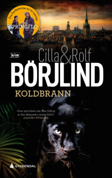 Koldbrann av Cilla Börjlind og Rolf Börjlind (Heftet)