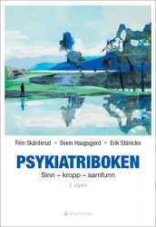 Psykiatriboken av Svein Haugsgjerd, Finn Skårderud og Erik Stänicke (Ebok)