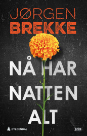 Nå har natten alt av Jørgen Brekke (Ebok)