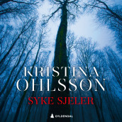 Syke sjeler av Kristina Ohlsson (Nedlastbar lydbok)