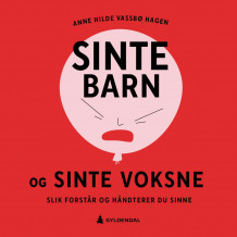 Sinte barn og sinte voksne av Anne Hilde Vassbø Hagen (Nedlastbar lydbok)
