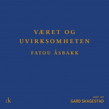 Været og uvirksomheten av Fatou M. Åsbakk (Nedlastbar lydbok)