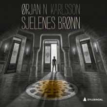 Sjelenes brønn av Ørjan N. Karlsson (Nedlastbar lydbok)