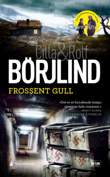 Frossent gull av Cilla Börjlind og Rolf Börjlind (Heftet)