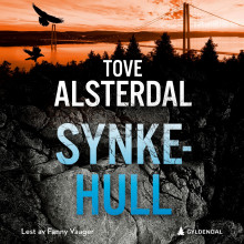 Synkehull av Tove Alsterdal (Nedlastbar lydbok)