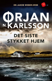 Det siste stykket hjem av Ørjan N. Karlsson (Ebok)