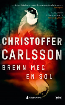 Brenn meg en sol av Christoffer Carlsson (Heftet)