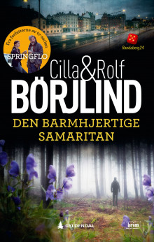 Den barmhjertige samaritan av Cilla Börjlind og Rolf Börjlind (Heftet)