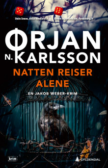 Natten reiser alene av Ørjan N. Karlsson (Ebok)