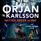 Natten reiser alene av Ørjan N. Karlsson (Nedlastbar lydbok)