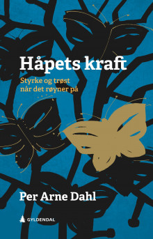 Håpets kraft av Per Arne Dahl (Innbundet)