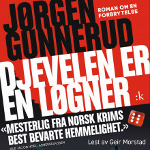 Djevelen er en løgner av Jørgen Gunnerud (Nedlastbar lydbok)