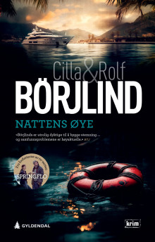 Nattens øye av Cilla Börjlind og Rolf Börjlind (Innbundet)