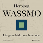 Lite grønt bilde i stor blå ramme av Herbjørg Wassmo (Nedlastbar lydbok)