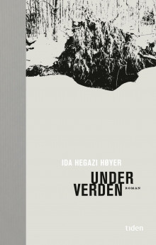 Under verden av Ida Hegazi Høyer (Heftet)