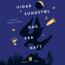 Dag fra natt av Vidar Sundstøl (Nedlastbar lydbok)