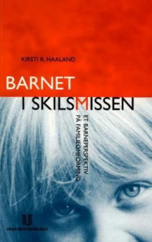 Barnet i skilsmissen av Kirsti Ramfjord Haaland (Heftet)
