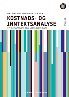 Kostnads- og inntektsanalyse av Knut Boye, Terje Heskestad og Eirik Holm (Heftet)