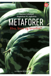 Metaforer av Magdalena Agdestein og Norunn Askeland (Ebok)