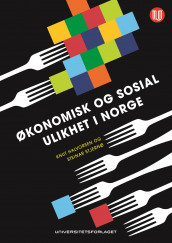 Økonomisk og sosial ulikhet i Norge av Knut Halvorsen og Steinar Stjernø (Heftet)