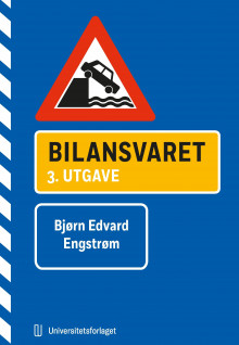 Bilansvaret av Bjørn Edvard Engstrøm (Innbundet)