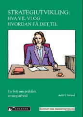 Strategiutvikling av Arild I. Søland (Heftet)