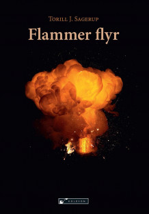 Flammer flyr av Torill J. Sagerup (Heftet)