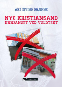 Nye Kristiansand unnfanget ved voldtekt av Are Eivind Brænne (Innbundet)