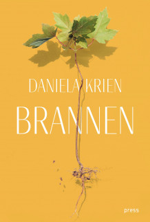 Brannen av Daniela Krien (Innbundet)