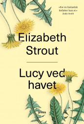 Lucy ved havet av Elizabeth Strout (Heftet)