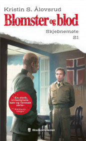 Skjebnemøte av Kristin S. Ålovsrud (Heftet)