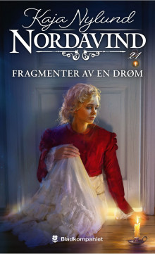 Fragmenter av en drøm av Kaja Nylund (Heftet)