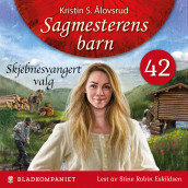 Skjebnesvangert valg av Kristin S. Ålovsrud (Nedlastbar lydbok)